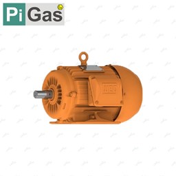 نمایش جزئیات برای الکتروموتور 11 کیلووات WEG تصویر الکتروموتور 11 کیلووات WEG